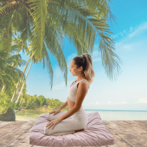 Zafu Meditation Cushion in Gray