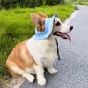 Pets Hat with Ear Holes Adjustable Baseball for Medium Small Dogs Summer Dye Cats Sun Cap Pet Outdoor Hat Supplies - Image 2
