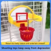 Bird Toys Practical Funny Parakeet Basketball Hoop Toys Parakeets Parrot Training Toys Bird Playground Toys Pet Supplies - Image 3