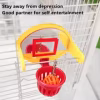 Bird Toys Practical Funny Parakeet Basketball Hoop Toys Parakeets Parrot Training Toys Bird Playground Toys Pet Supplies