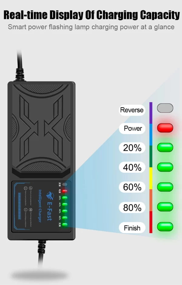 High-Efficiency 48V Battery Charger for Electric Bicycles and Motorbikes in pakistan