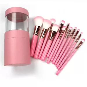 Makeup brush set with various brushes for eyeshadow & foundation