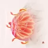 Breast Massager Intelligent Breast Beauty Vibration Massage Bra Breast Underwear Massage - Image 2