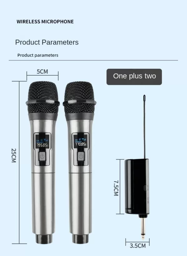 Wireless Microphone 2 Channels UHF Fixed Frequency Handheld Mic Micphone