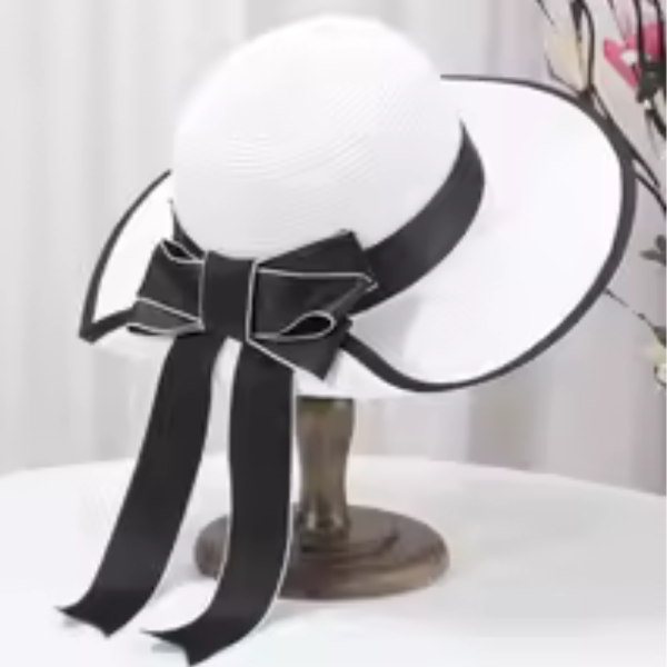 https://www.aliexpress.com/w/wholesale-Hats-.html?spm=a2g0o.productlist.search.0